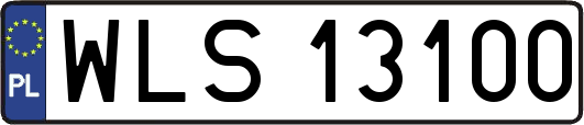 WLS13100
