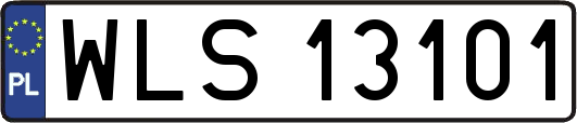 WLS13101