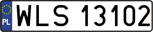 WLS13102