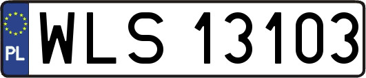 WLS13103