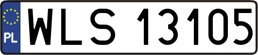 WLS13105