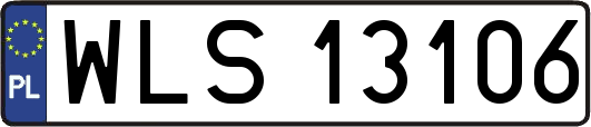 WLS13106