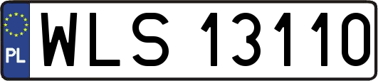 WLS13110