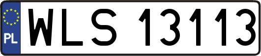 WLS13113