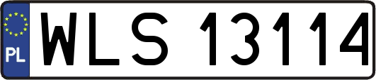 WLS13114