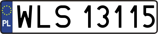 WLS13115