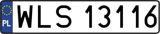 WLS13116