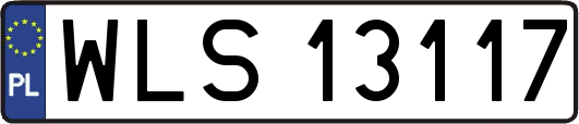 WLS13117