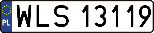 WLS13119
