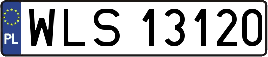 WLS13120