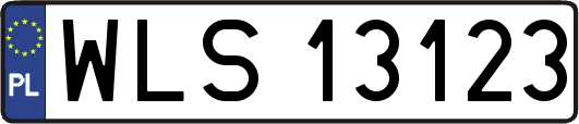 WLS13123