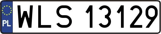 WLS13129
