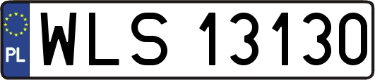WLS13130