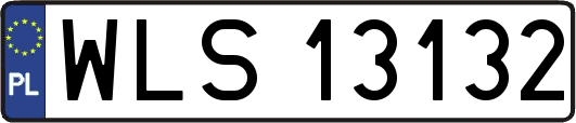WLS13132