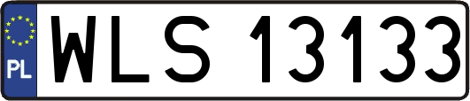 WLS13133