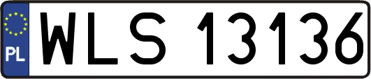 WLS13136