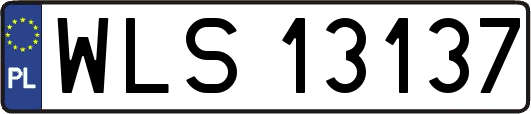 WLS13137