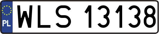WLS13138