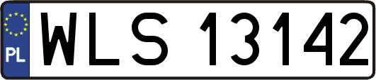 WLS13142