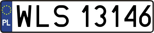 WLS13146