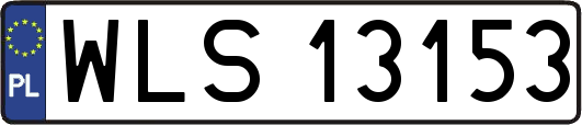 WLS13153