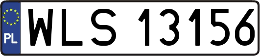 WLS13156