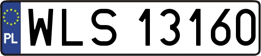 WLS13160