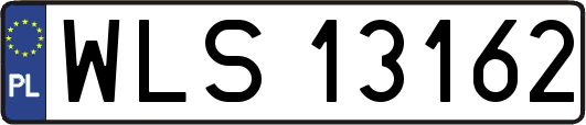 WLS13162