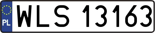 WLS13163