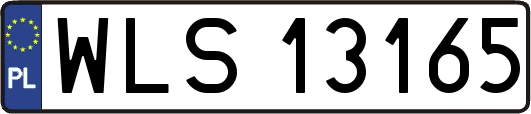 WLS13165