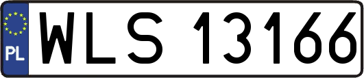 WLS13166
