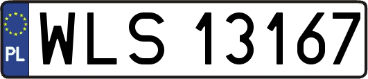 WLS13167