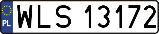 WLS13172