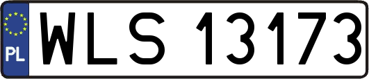 WLS13173