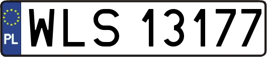 WLS13177