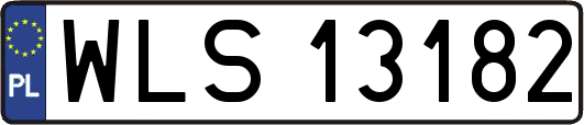 WLS13182