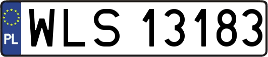 WLS13183