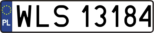 WLS13184