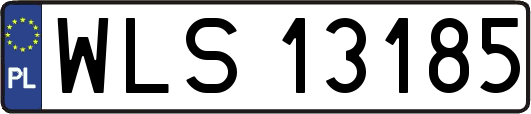 WLS13185
