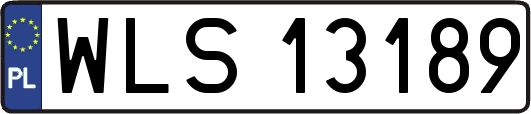 WLS13189