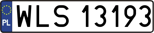 WLS13193