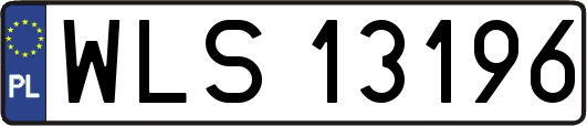 WLS13196