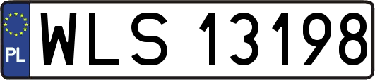 WLS13198