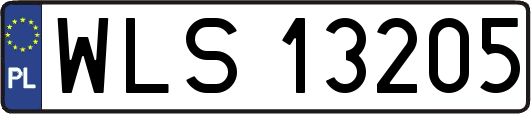 WLS13205
