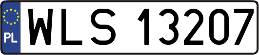 WLS13207