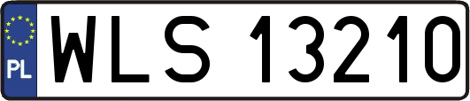 WLS13210