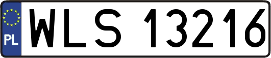 WLS13216