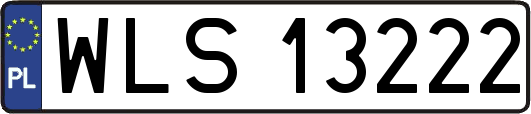 WLS13222