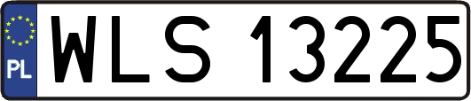 WLS13225