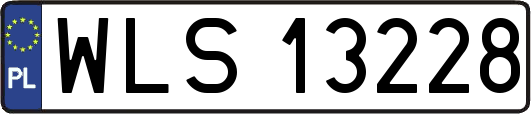 WLS13228